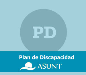 plan discapacidad nvo